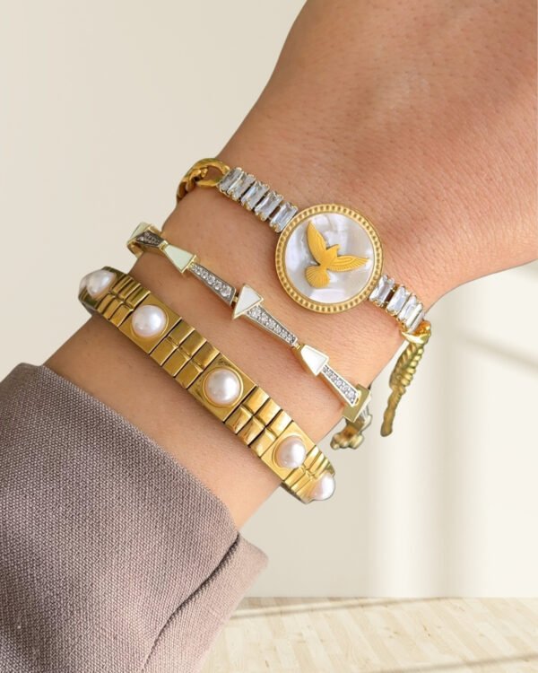 Çelik Kuş Detaylı Suyolu Bileklik