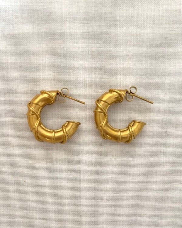 Çelik Sarmaşık Küpe