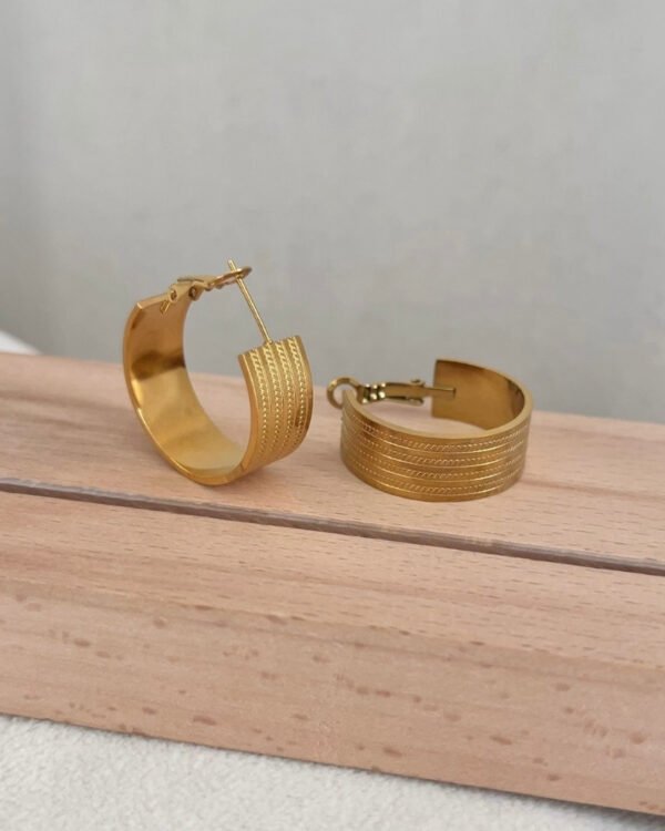 Çelik Orta Boy Halka Küpe Kalın