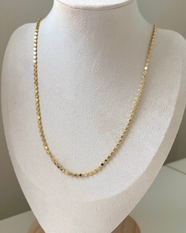 Çelik Pul Kolye Tekli 42+6cm