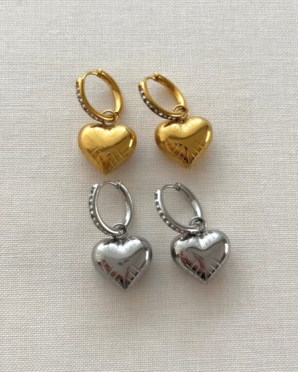 Çelik Kenarları Taşlı Kalpli Küpe