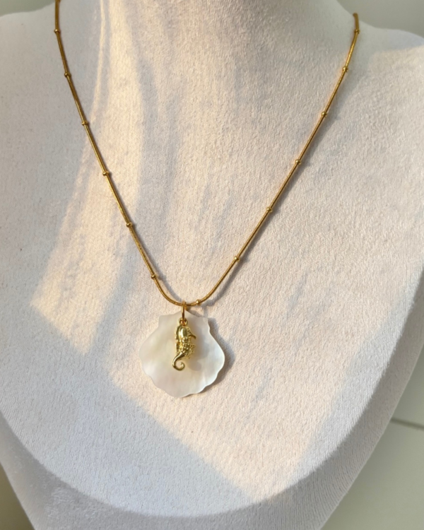 Çelik İstiridye Detaylı Kolye 42+6 cm