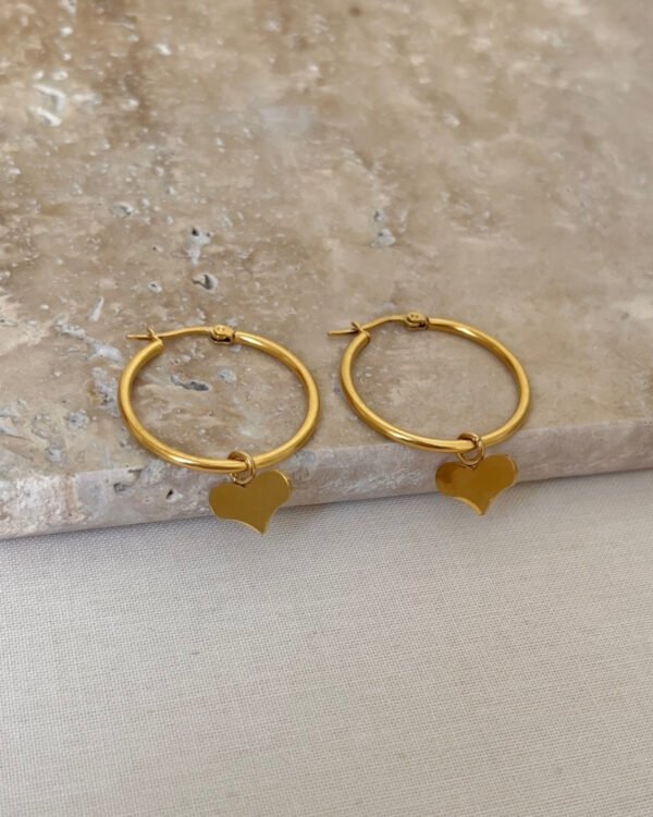 Çelik Halka Kalpli Küpe